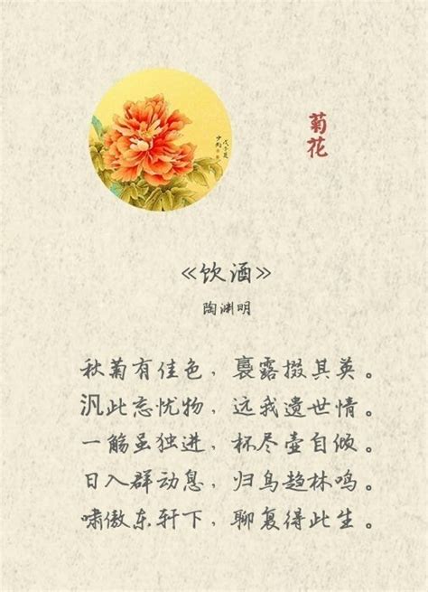 探花蜂蝶意思|咏花诗词之《米囊花》全诗原文鉴赏